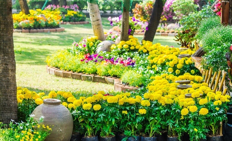 Comprehensive Outdoor Landscaping Services in Denver