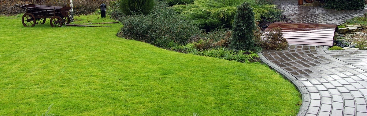 Denver Landscaping Excellence | Transforming Spaces into Oases