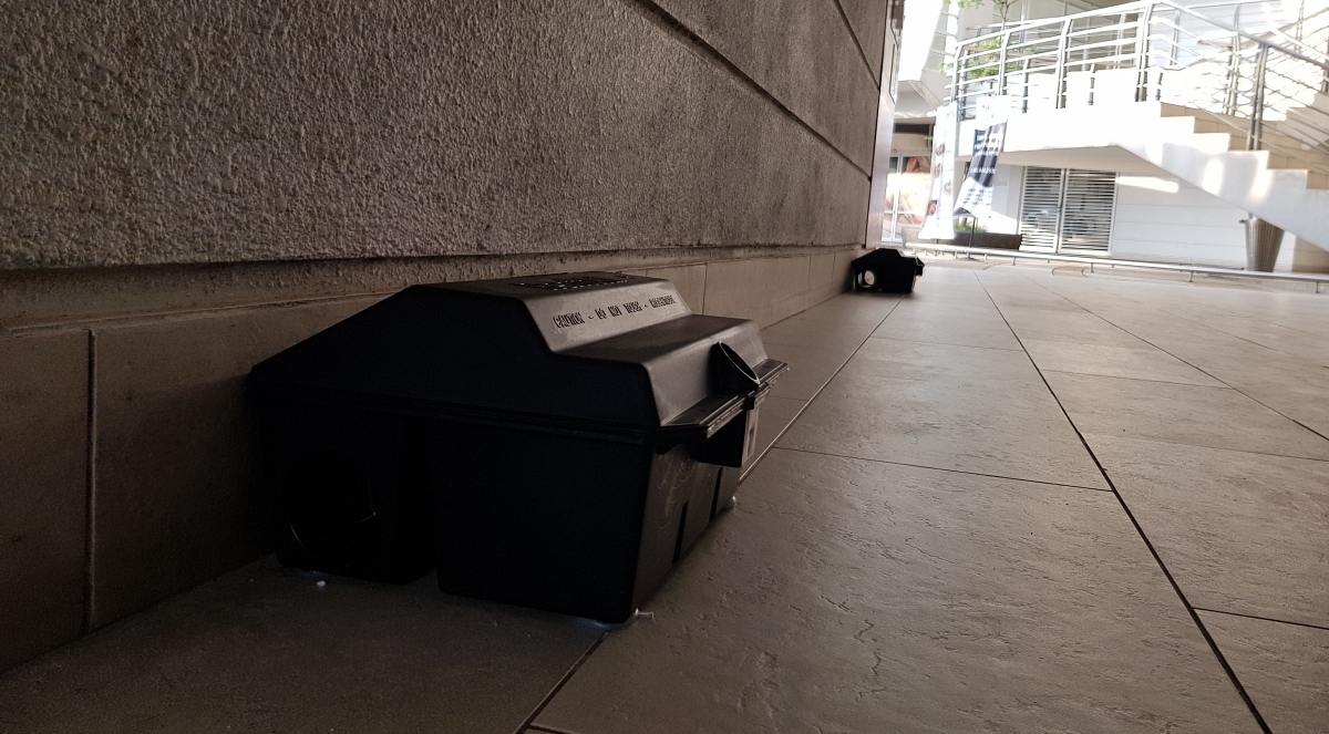 Top-Rated Pest Protection Plans in McKinney, Texas