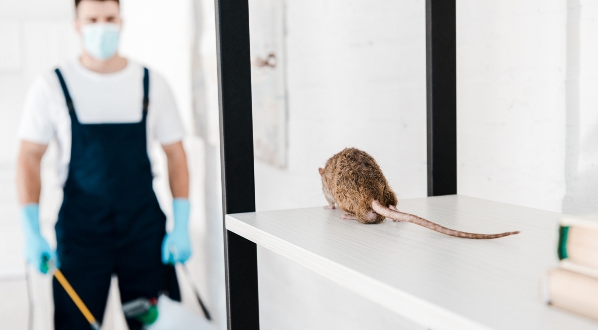 Guaranteed Pest Control Solutions McKinney TX