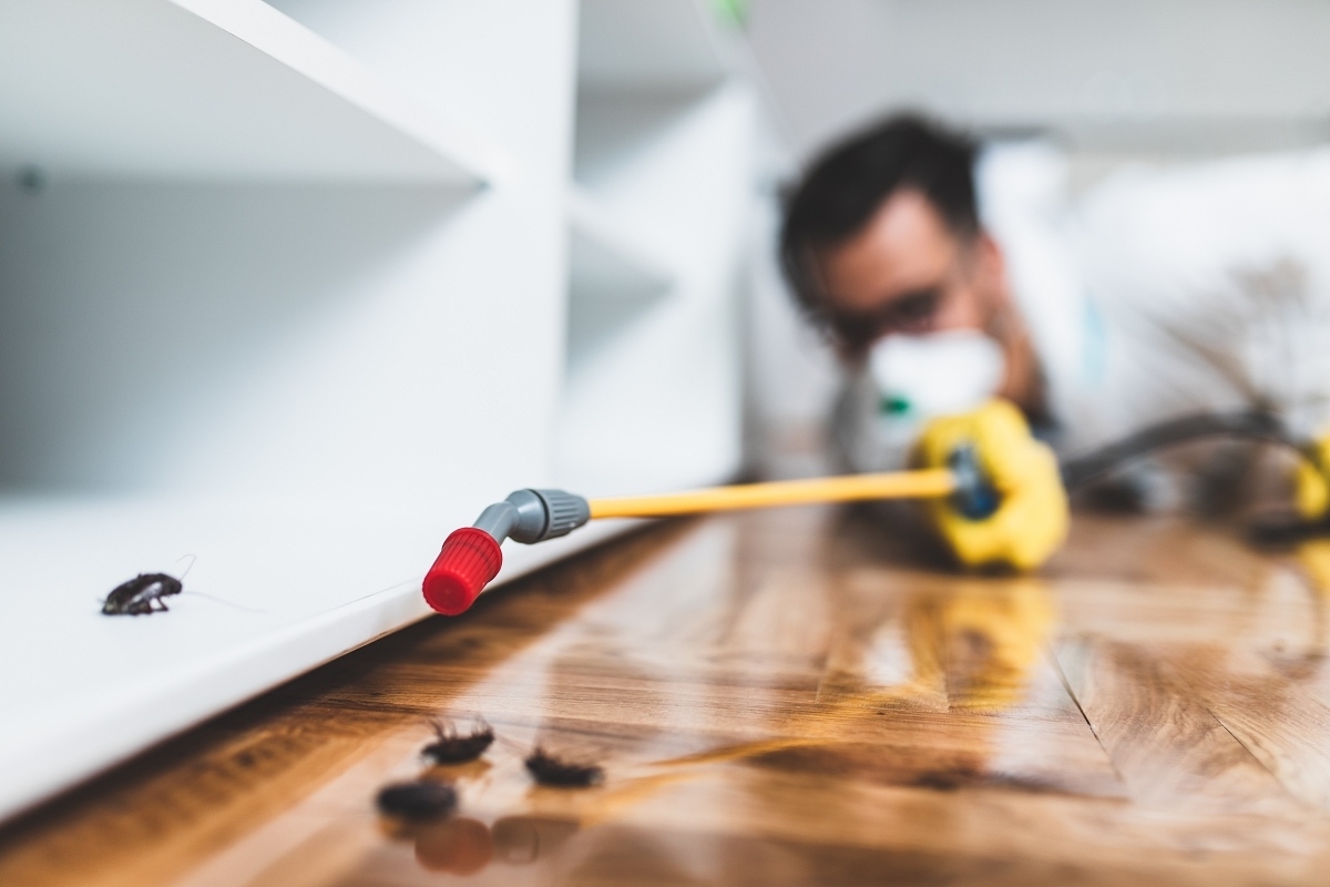 Pest Prevention in McKinney Texas